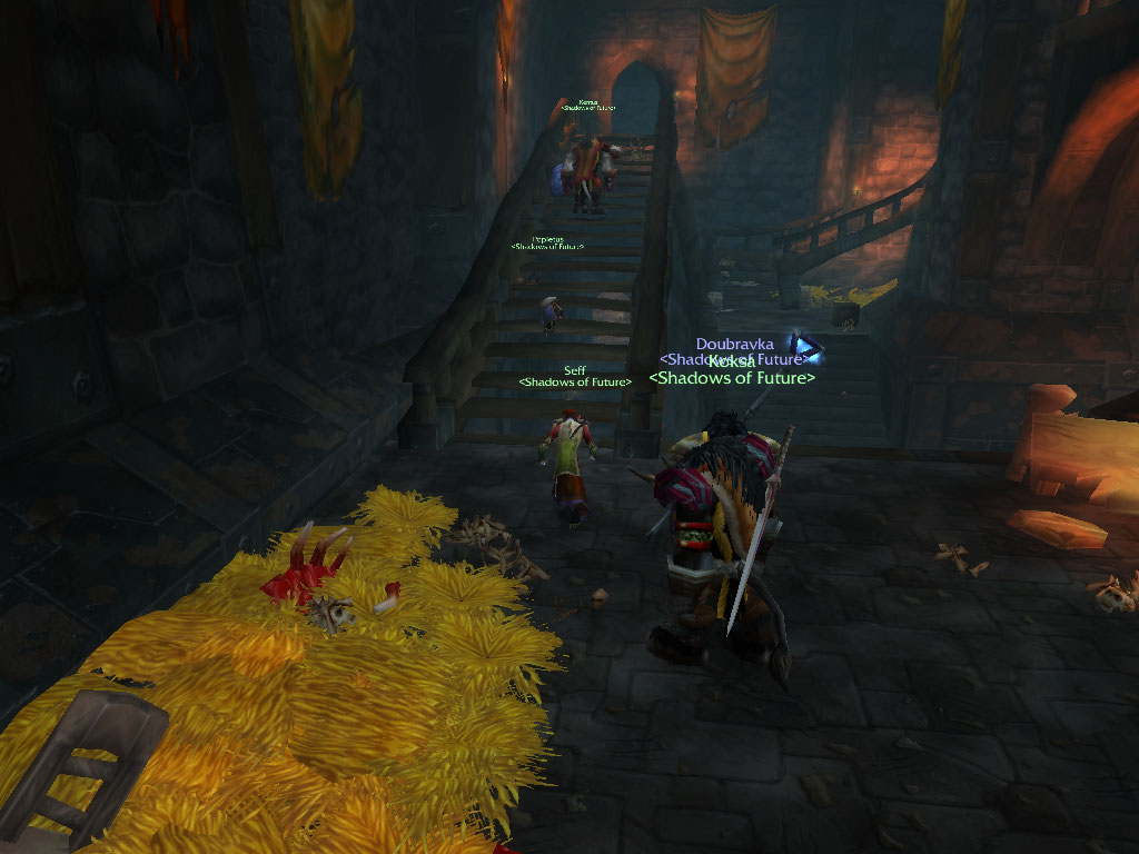 WoWScrnShot_020308_163248.jpg