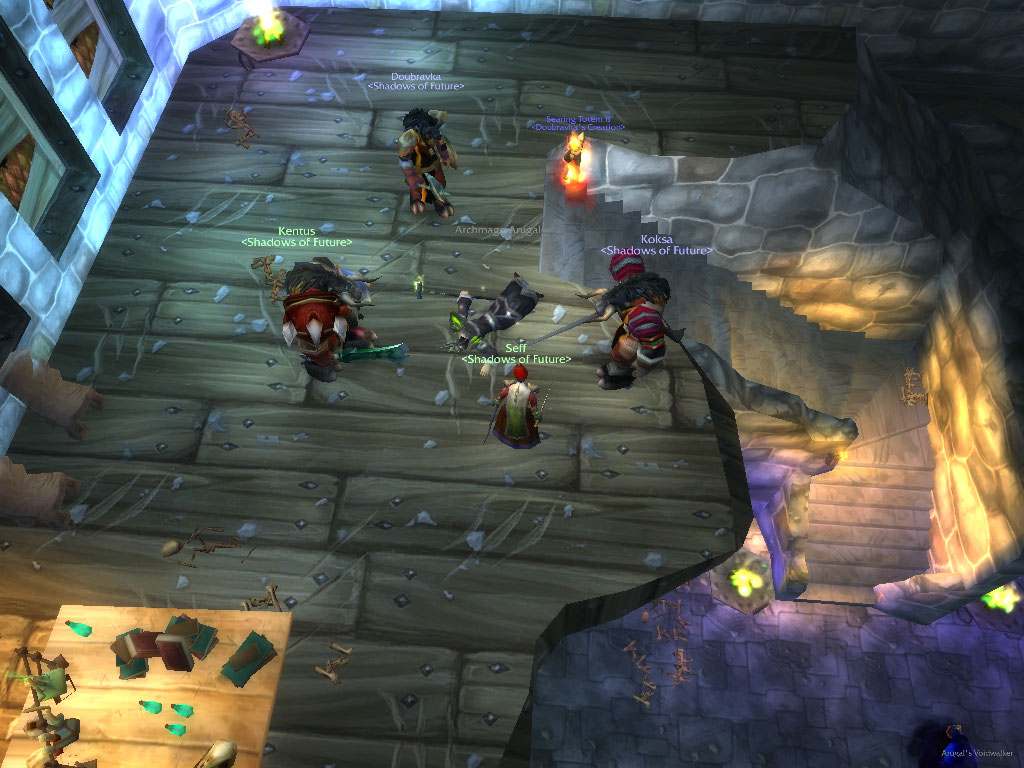 WoWScrnShot_020308_163744.jpg